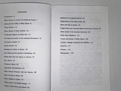 They Were White and They Were Slaves Michael A Hoffman II 4th Ed 1992 History