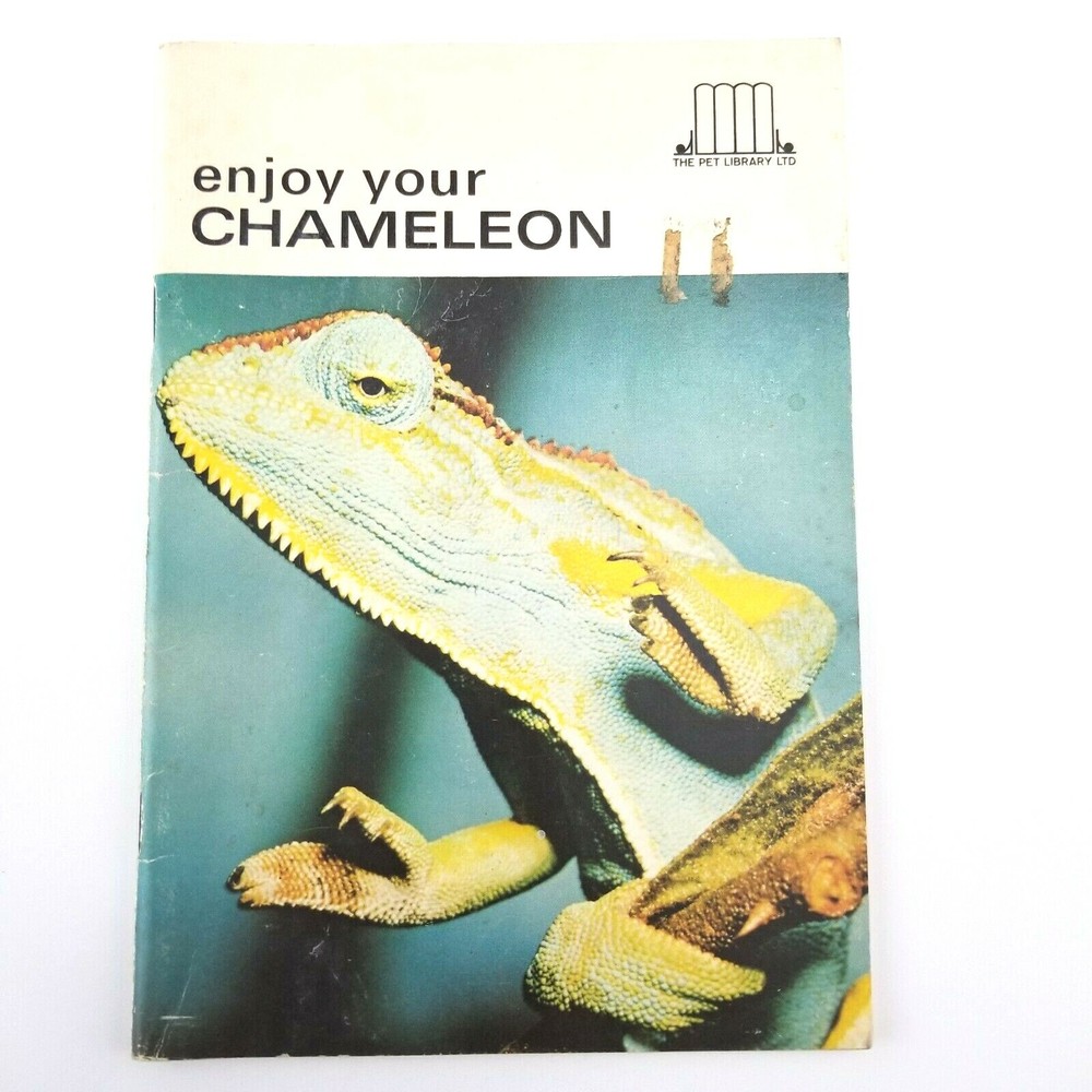 Enjoy your Chameleon by Eric Schneider, Editor, The Pet Library Ltd, 31 Pages