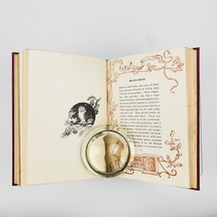 Rip van Winkle Washington Irving Decorative Binding Illustrated Gilt Page Edges