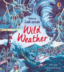 Look Inside Wild Weather (International Edition) – board book Emily Bone|Bao…