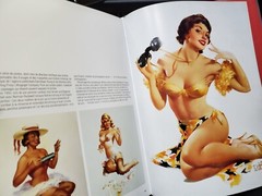 THE GREAT AMERICAN PIN-UP Martignette & Meisel HUGE 280 pages 2011 1st 246810975