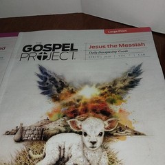 Lifeway Gospel Project Daily Discipline Guide Bible Study Large Print Vol 6 & 7
