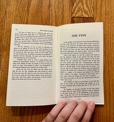 The Name of Jesus by Anton Sorg (1976 Paperback) Translated by O’Connell