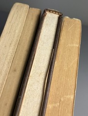 RICHARD BRAUTIGAN Lot 4 Books: Hawkline…PB Willard…HC Sombrero…PB Tokyo…PB