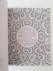 The Silver Colouring Book (Colouring Books) by Arcturus Publishing Book