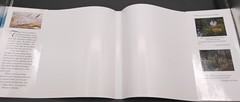 Shadows on the Flats: The Saltwater Images of Chet Reneson SIGNED