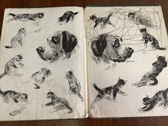 MAJOR AND THE KITTEN Helen Hoke Pictures Diana Thorne hardcover 1941 32 pages