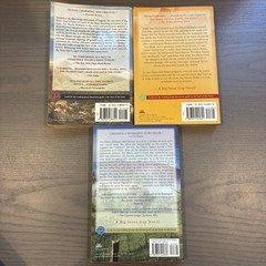 Adriana Trigiani Paperback Lot Big Stone Gap Big Cherry Holler Milke Glass Moon