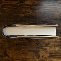 Whistler: A Novel by Ann Patchett (Hardcover, 2026)