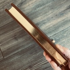 Aesop’s Fables Easton Press Collector’s Edition 1979 Leather Bound Gilt