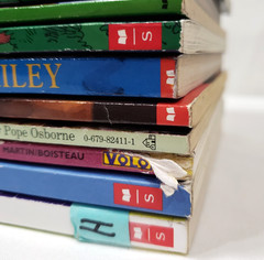 3rd Grade Chapter Books For Boys Lot of 20 Teacher Classroom Homeschool Library