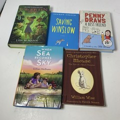 Girls Chapter Book Lot 29 Mango Street Chasing Vermeer Jellyfish Mixed Set
