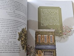 The Wheel of the Year An Illustrated Guide to Nature’s Rhythms Hardcover VGC