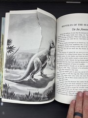 1976 Dinosaurs and Other Prehistoric Animals by Darlene Geis Grosset & Dunlap HC