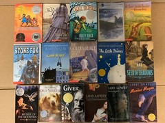 Lot of 15 Newbery Honor Award Winning Chapter Children Kid Books AR *RANDOM MIX