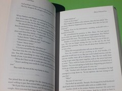 WHEN I FOUND YOU A NOVEL BY CATHERINE RYAN HYDE 2013 AMAZON PUBLISHING 399 PAGES