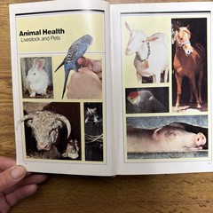 1984 Yearbook of Agriculture – Animal Health Livestock and Pets – 637 Pages