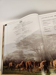 Smithsonian Animal The Definitive Visual Guide HC DK 2011 Illustrated Hardcover