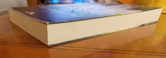 A Soma dos Dias Memorias by Isabel Allende PB Bertrand Brasil Portuguese NF 2008
