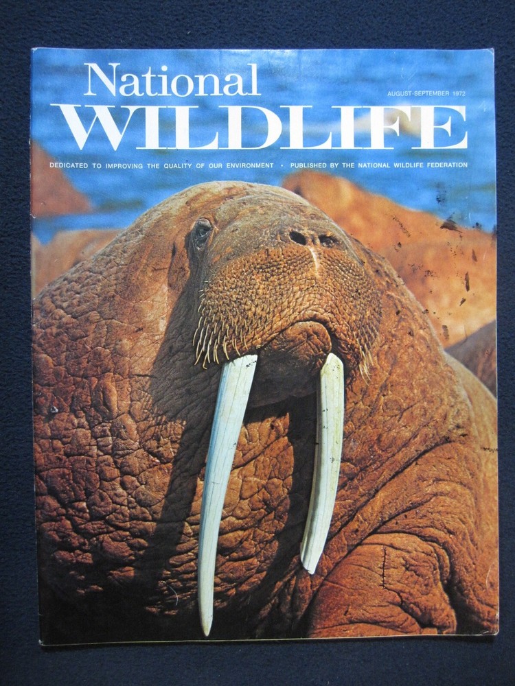 National Wildlife Magazine August/September 1972 [Single Issue Magazine] Natio..