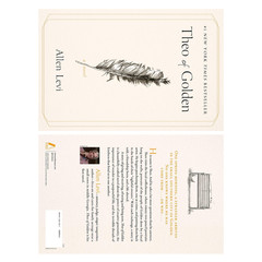 Theo of Golden by Allen Levi Paperback Fiction Novel English Book 2025 NYT Bests