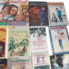 Early Chapter Books Boys Interest Lot of 26 Grade 3-6 Vintage & Modern