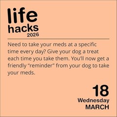 Life Hacks 2026 Day-to-Day Calendar