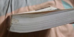 Facts On File; The Encyclopedia of Serial Killers by Michael Newton 2nd Ed.