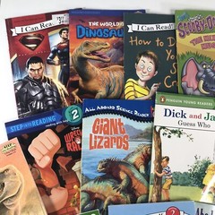 Random Lot of 10 Level 2 Step Into Reading | I Can Read | Learn To Read FOR BOYS