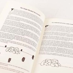 Spirits Without Boundaries Book