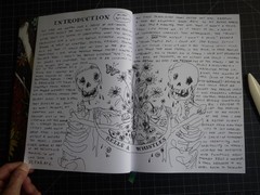 Blossoms and Bones: Drawing a Life Back Together by Kim Krans 1st ED/Pr Hdcover