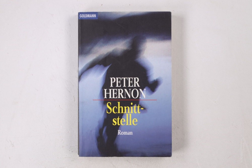 33406 Peter Hernon SCHNITTSTELLE Roman