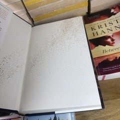 Lot 7 Kristin Hannah Books 2 Hardcover 5 Paperback Mystic Lake Fly Away Firefly