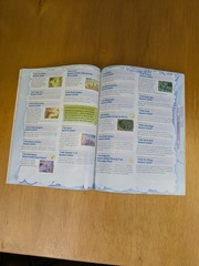 Rune Factory 2 A Fantasy Harvest Moon Bradygames Official Strategy Game Guide DS