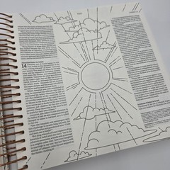 NLT Bible DaySpring Inspire Illustrating Bible With Filament App Spiral Bound