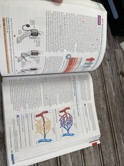 Campbell Biology: Concepts & Connections [RENTAL EDITION] (10th Edition) – VG