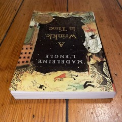 A Wrinkle In Time by Madaleine L’Engle (2007 Square Fish Trade Paperback)