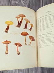 Icones Farlowianae – 1929 Farlow Fungi Mushrooms 103 Color Plates – Large Folio