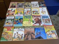 Lot of 60 Chapter Books For 1st 2nd 3rd Grade Readers Ages 6-10 Huge Variety