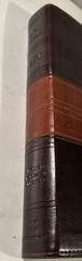 ESV Personal Reference Holy Bible Brown Tan Tru-Tone Single Column Side Ref.