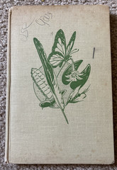 VTG Nature Notebook Robert Candy 1953 HC