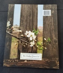 The Daily Grace Co. Stand Firm Bible Study Book, Trade Paperback