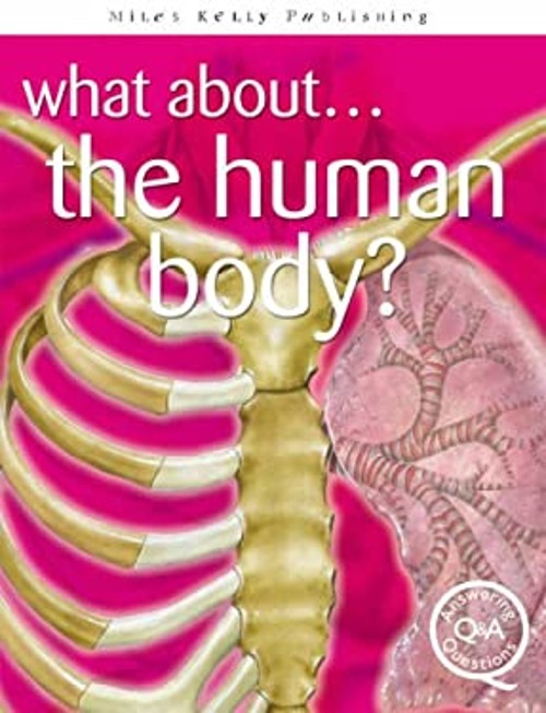What about the Human Body? Steve, Matthews, Rupert, Williams, Bri