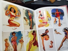 THE GREAT AMERICAN PIN-UP Martignette & Meisel HUGE 280 pages 2011 1st 246810975