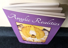 Angelic Realities The Survival Handbook By Ashayana Deane Ekr MC Booklet GET IT!