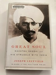 Great Soul : Mahatma Gandhi and His Struggle with India by Joseph Lelyveld (2011