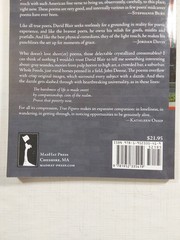 True Figures: Selected Shorter Poems and Prose Poems 1998-2021 by Blair, David