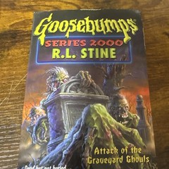 Lot Of 4 R.L. Stine Books See Photos For Titles In Good Condition See Photos