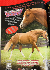 SALE ENDS 6/15! 2008 Quarter Horse Journal STALLION EDITION Book, PEPTOBOONSMAL