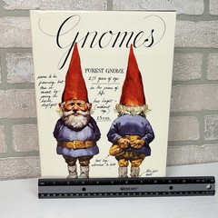 Gnomes Wil Huygen Rien Poortvliet 1977 Abrams Illustrated Fantasy Folklore HC DJ